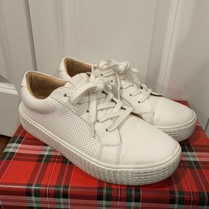 STEVEN MADDEN sneakers